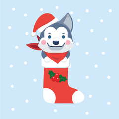 New Year Icon dog. The puppy sits in a Christmas sock..