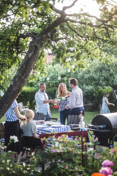 Friends enjoying drink together in garden party while female braiding sister's hair