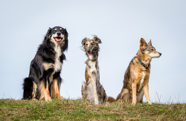 Nur der Himmel hinter uns