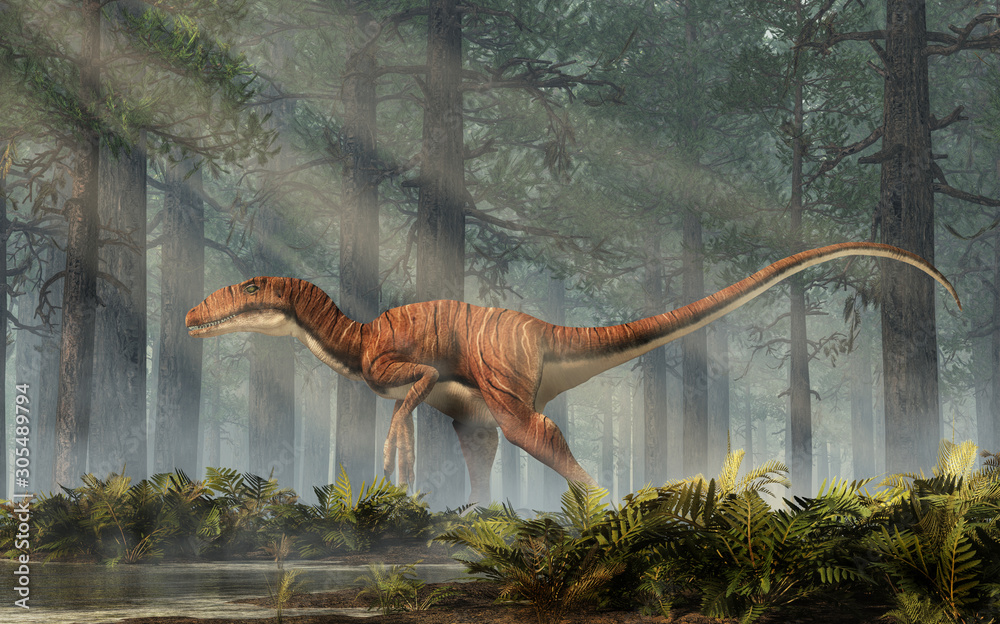 Aufkleber deinonychus is a theropod dinosaur, a cousin of velociraptor, that lived during the cretaceous. here