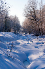 winter landscape with road and trees