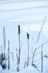 masts and blue sky