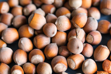  Hazelnut