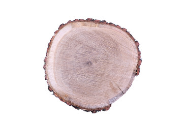 Detailed piece of circular flat cut wood showing annual rings, cracks, bark and texture. Slice an oak tree like a wooden plate grove tree trunk showing isolated on white background.