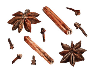 Spices watercolour on white background.