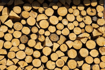 Firewood logs ends