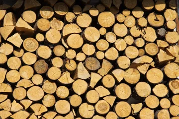 Möbelaufkleber Firewood logs ends © Craig