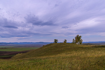Fototapeta premium The trees. Hills. Sky. The clouds. Steppe