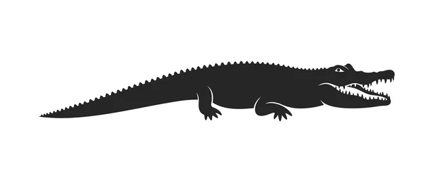 Fototapeten Crocodile logo. Abstract crocodile on white background © oleg7799
