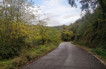 strada in salita in autunno