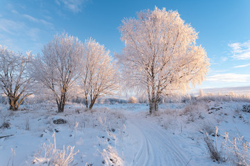 The last day of the year