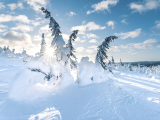 Guardians of Nuorunen