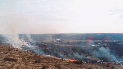 Forest and field fire. Dry grass burns, natural disaster. Aerial view.