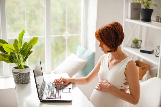 Pregnant woman working on laptop. Image of pregnant business woman typing something on laptop