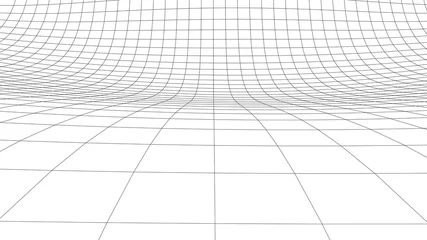Foto op Canvas Vector perspective curved grid. Detailed lines on white background. © Columbus