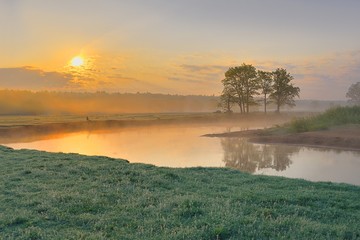 morning on the river, trees in the fog