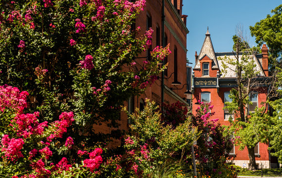 A View Of A Historic Neighborhood In St. Louis, Missouri.