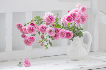 pink chrysanthemums in jug on old  white wooden bench