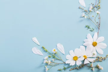  white flowers on paper background © Maya Kruchancova