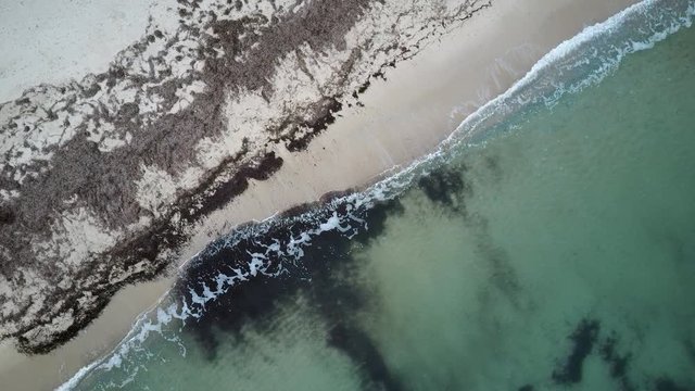 Mare e spiaggia con alghe - Vista da Drone