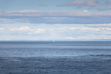 A sailing boat on the Saint-Lawrence river. 