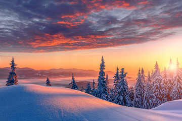Fantastic winter landscape during sunset. colorful sky glowing by sunlight. Dramatic wintry scene. snow covered trees under warm sunlit. Sunlight sparkling in the snow. Splendid Alpine winter - 305502338