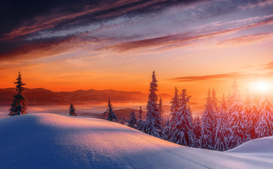 Scenic image of Winter Landscape during sunset. Frosty morning with Colorful sky, calm wintry...