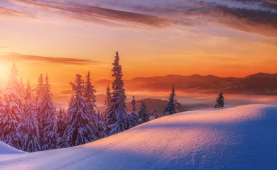 Abwaschbare Fototapete Orange Erstaunlicher Sonnenaufgang in den Bergen. Sonnenuntergang Winterlandschaft mit schneebedeckten Pinien in violetten und rosa Farben. Fantastische bunte Szene mit malerischem dramatischem Himmel. Weihnachten winterlicher Hintergrund