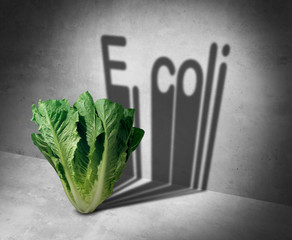 E coli Contaminated Food