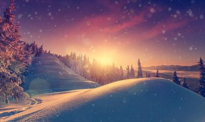 Fantastic winter landscape during sunset. colorful sky glowing sunlight. snow covered trees under...