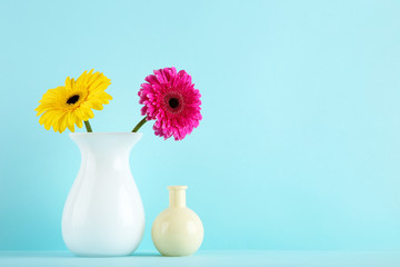 Ceramic vase with gerbera flowers on blue background