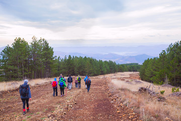 Hiking Group Of People Walking In Nature