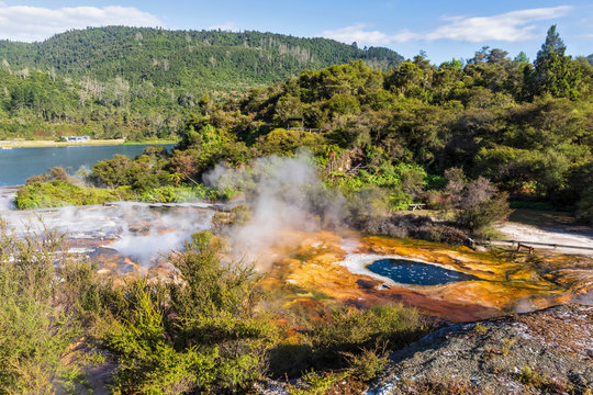 Map of Africa, Orakei Korako Geothermal Park, Taupo Volcanic Zone, North Island, New Zealand