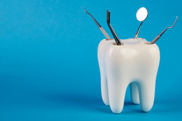 Dental tooth model with metal medical dentistry equipment