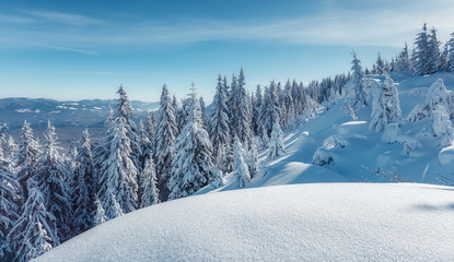 Winter background of snow and frost Fantastic winter forest landscape during sunset. Icy snowy fir trees glowin in sunlight. winter holiday concept. wonderland in winter. Christmas Holiday Concept.