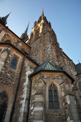 Cathedral of St. Peter and Paul in Brno. Czech republic