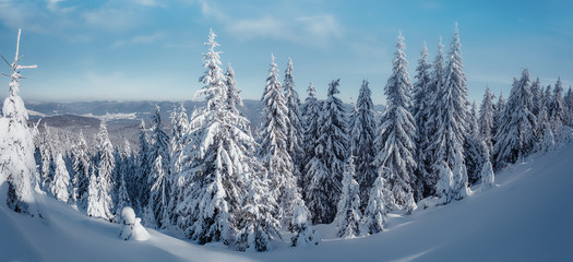 A magnificent panorama of the mountains. Wonderful Winter Landscape. Scenic image of fairy-tale...