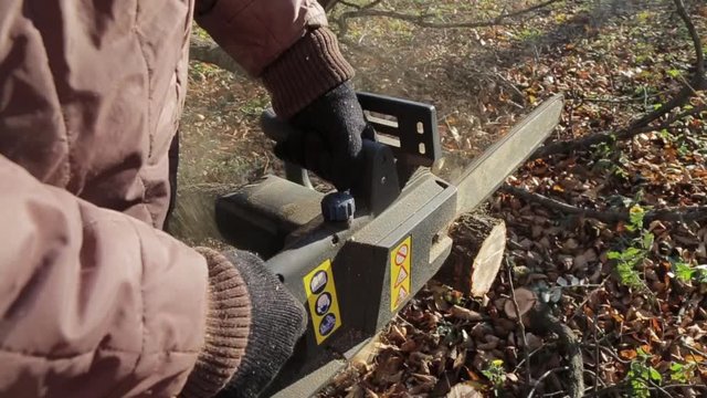sawing a tree with a chainsaw + the sound of a chainsaw