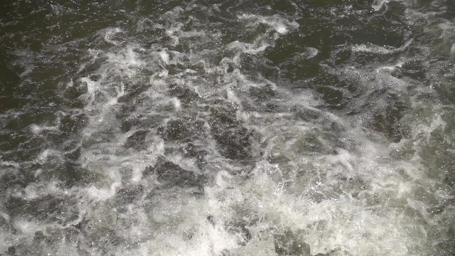 On the natural road of Ter in Girona