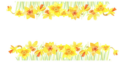 Yellow narcissus banner. Hand painted floral stock watercolor illustration. Isolated elements on a white background. Perfect for  easter invitations cards and decoration.