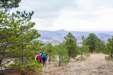 Fototapeta na wymiar Hiking Group Of People Walking In Nature