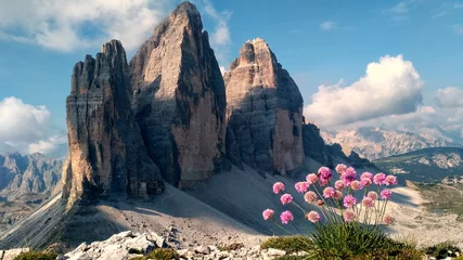 Photo sur Plexiglas Dolomites Drei Zinnen or Tre Cime di Lavaredo with beautiful flower. Dolomites, Italy. Incredible summer landscape in Italyan Alps. Majestic Dolomiti rock mountains. popular travel and hiking place. Wild area