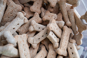 dog biscuits are ready to give to your dog or puppy