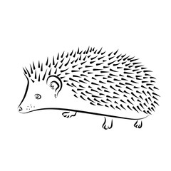 vector outline isolated hedgehog illustration, sketch, logo. Pet African pygmy. 