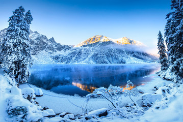 Scenic winter panorama