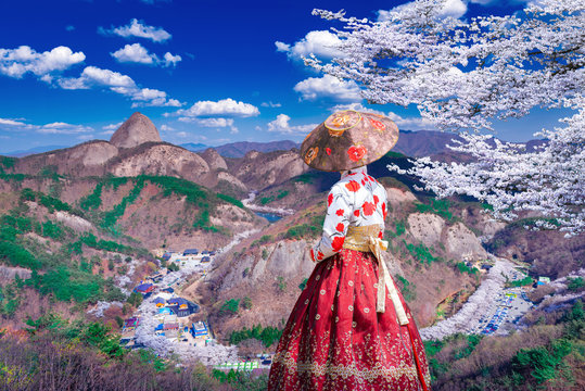 Tourists wear hanboks to admire the beauty of the streets with cherry blossoms in Jinan-gun, South Korea.