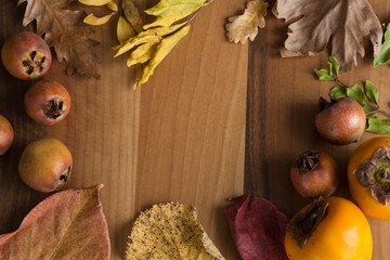 paradise palm and autumn leaves on the wooden background.