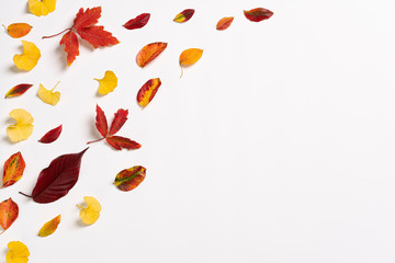Viele Herbstblätter auf weissen Hintergrund