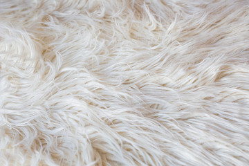 artificial fur background white cream. Flat lay.