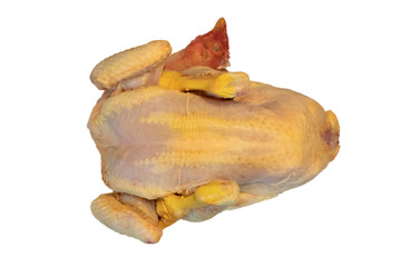 Background of whole fresh corn chicken uncooked isolated on white background with clipping path. 